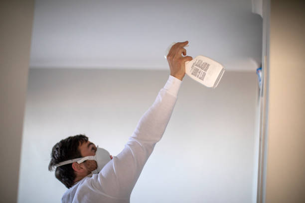 Best Emergency Mold Removal  in Chelsea, MI