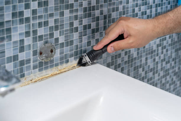 Best Residential Mold Removal  in Chelsea, MI