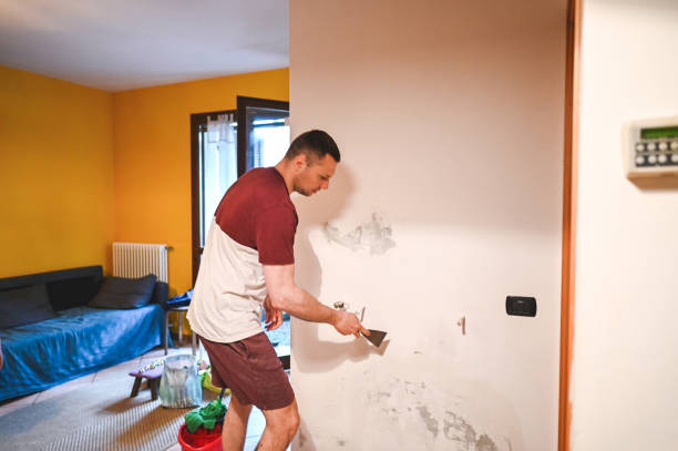 Best Mold Testing  in Chelsea, MI
